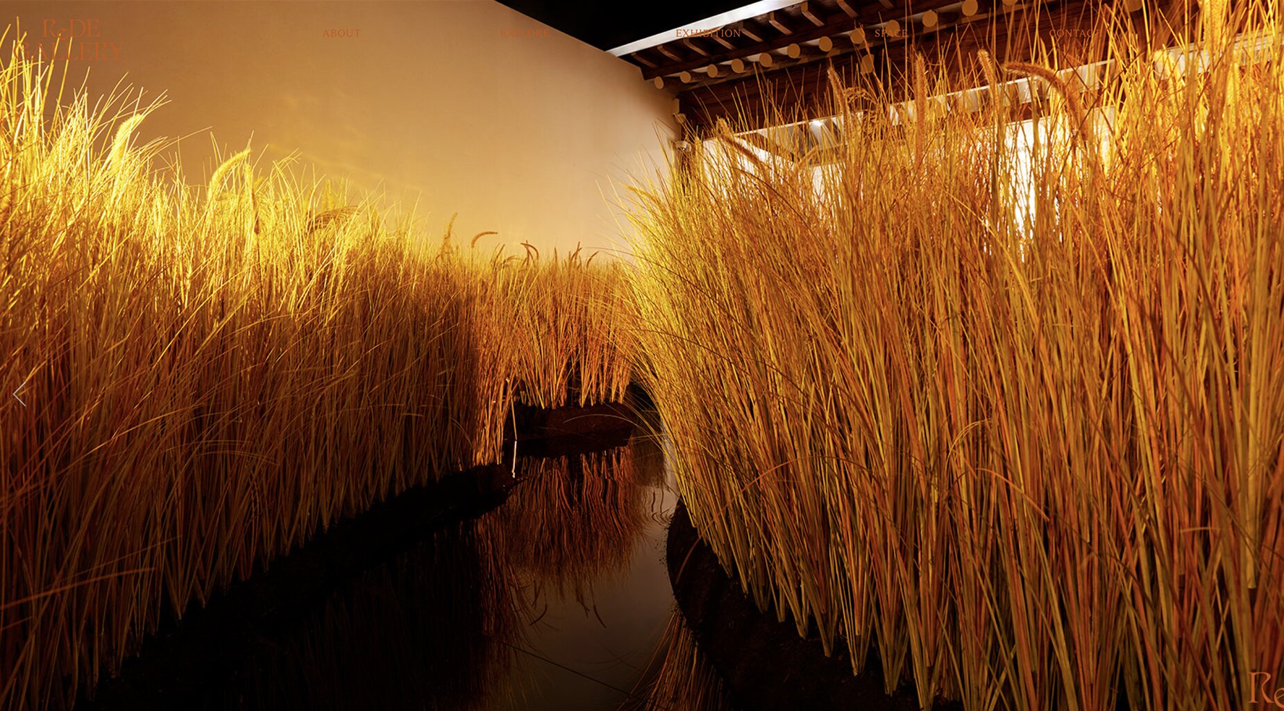 Project ReDE Gallery